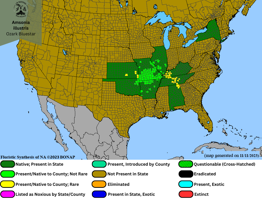 Amsonia illustris-Ozark Bluestar Range Map