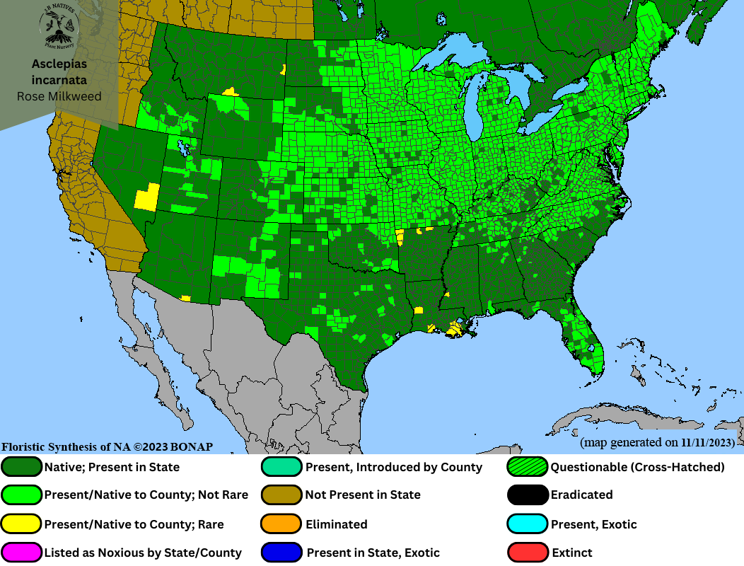 Asclepias incarnata - Rose Milkweed Range Map