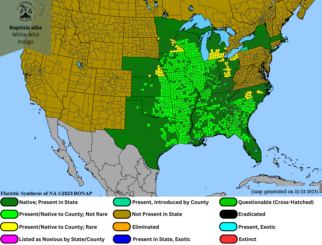 Baptisia alba - White Wild Indigo Range Map