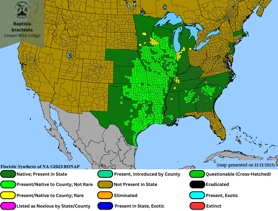 Baptisia bracteata - Cream Wild Indigo Range Map