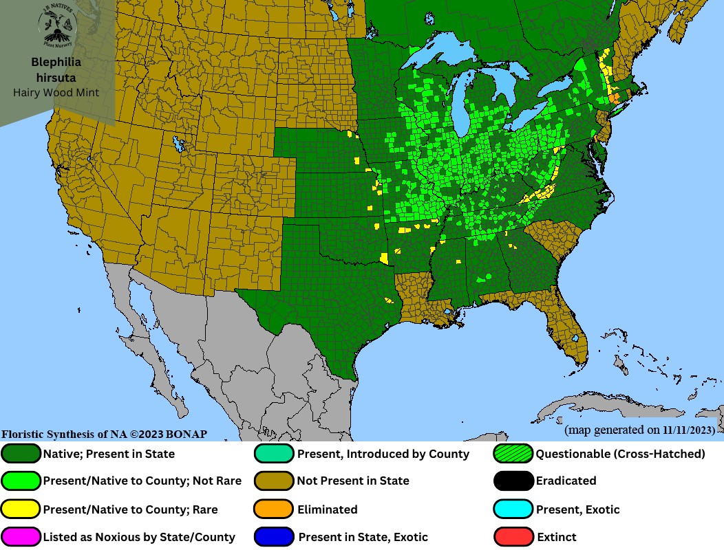 Blephilia hirsuta - Hairy Wood Mint Range Map