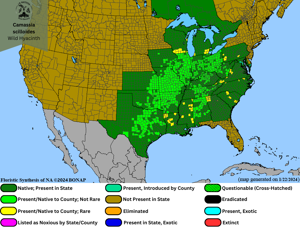 Camassia scilloides - Wild Hyacinth Range Map