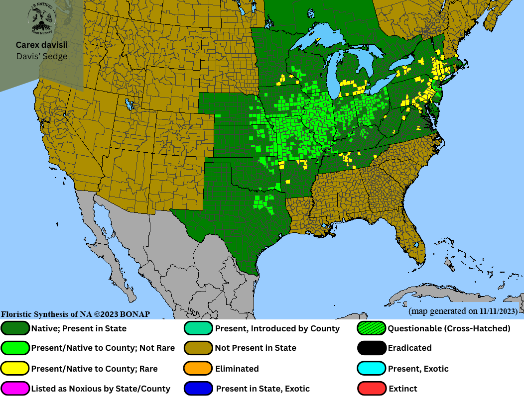 Carex davisii - Davis' Sedge Range Map