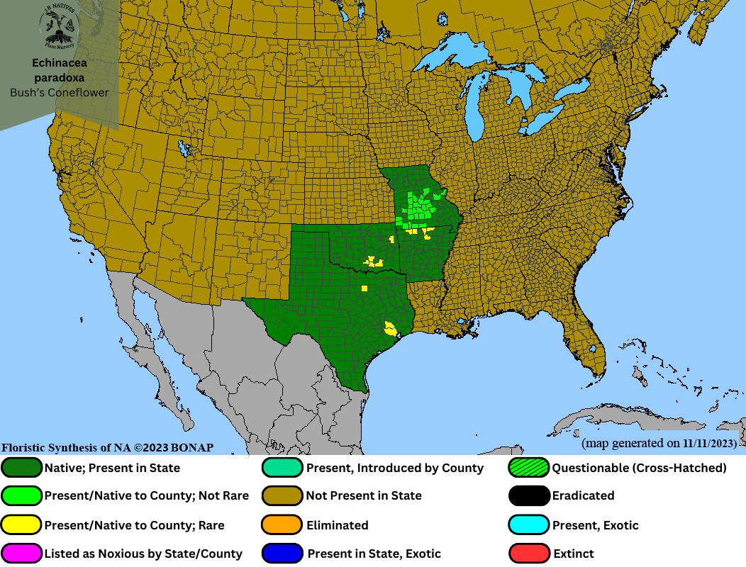 Echinacea Paradoxa - Bush's Coneflower Range Map