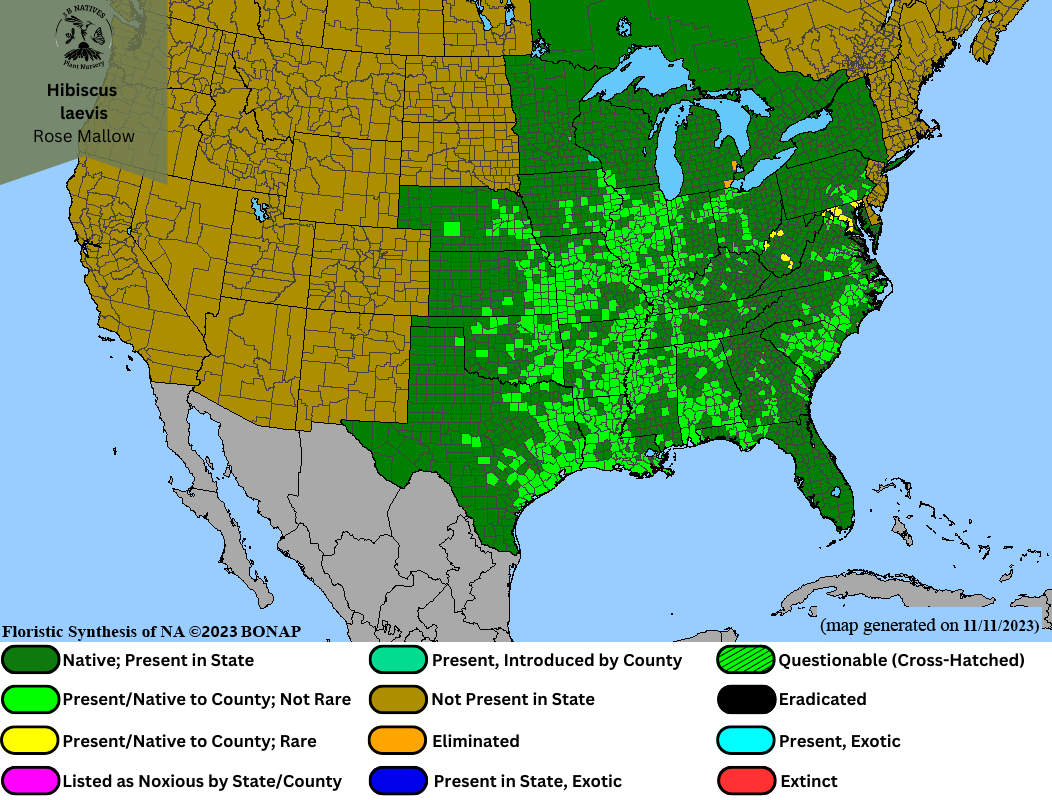 Hibiscus laevis - Rose Mallow Range Map
