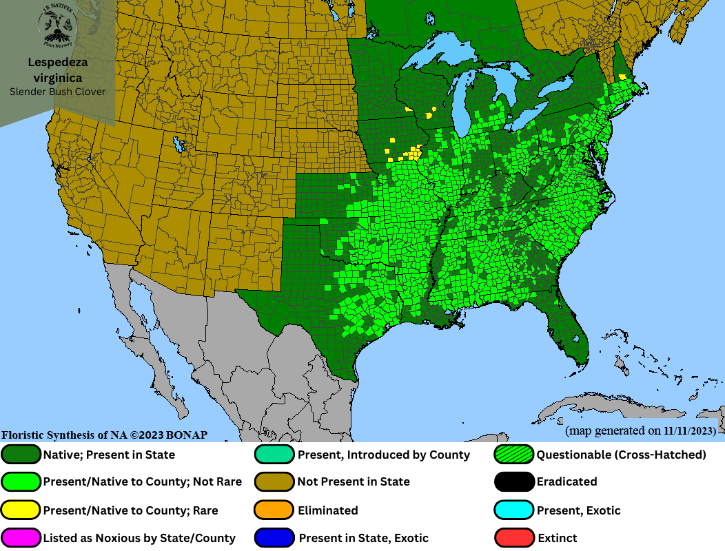 Lespedeza virginica - Slender Bush Clover Range Map