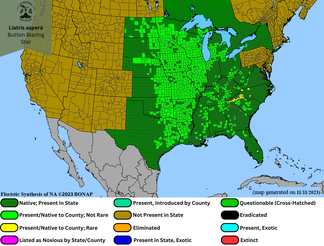 Liatris aspera - Button Blazing Star Range Map
