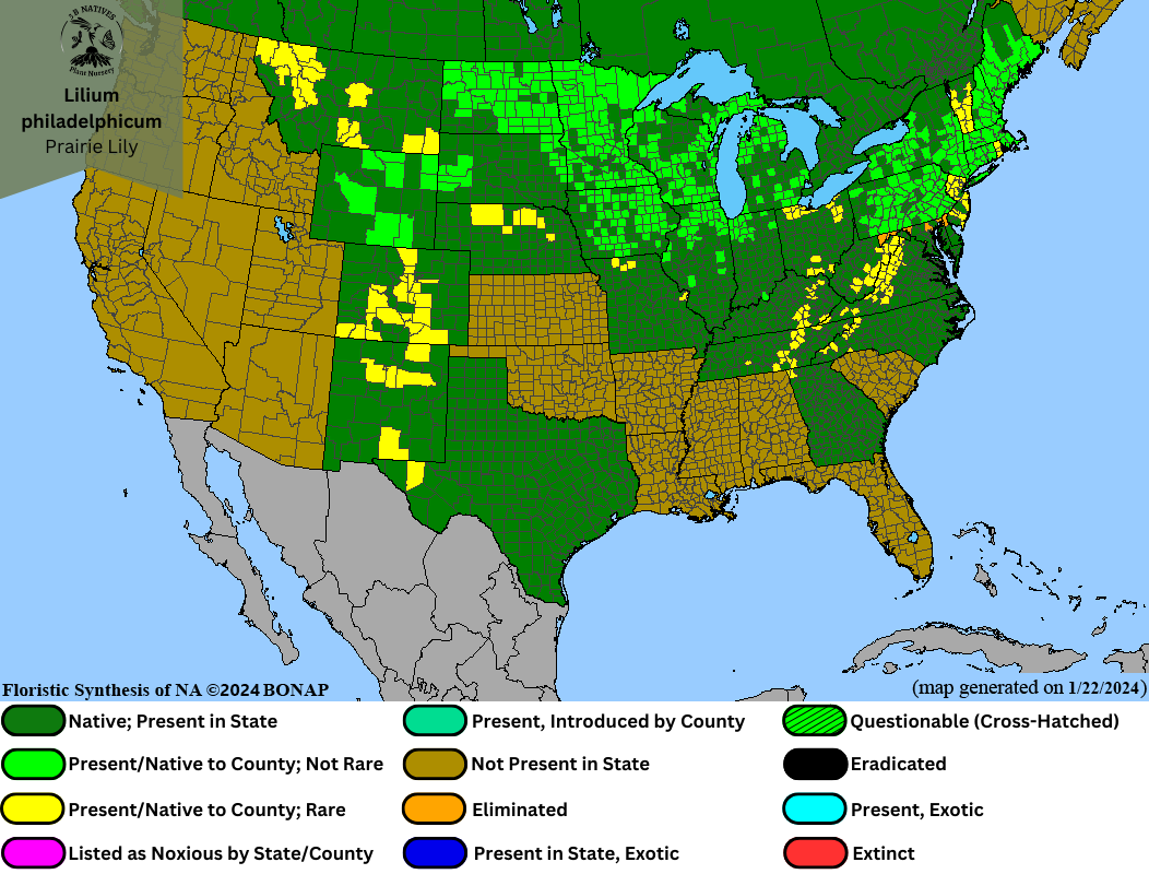 Lilium philadelphicum - Priaire Lily Range Map