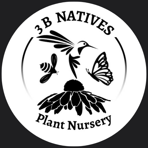 3 B Natives Plant Nursery