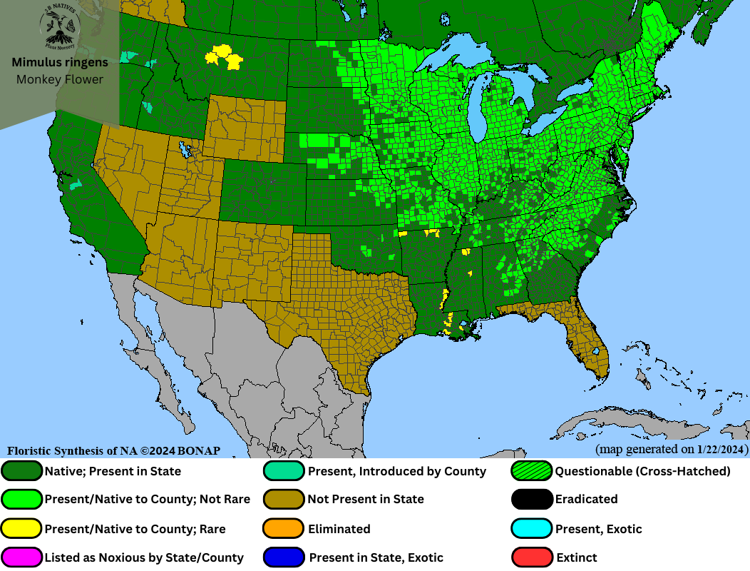 Mimulus ringens - Monkey Flower Range Map