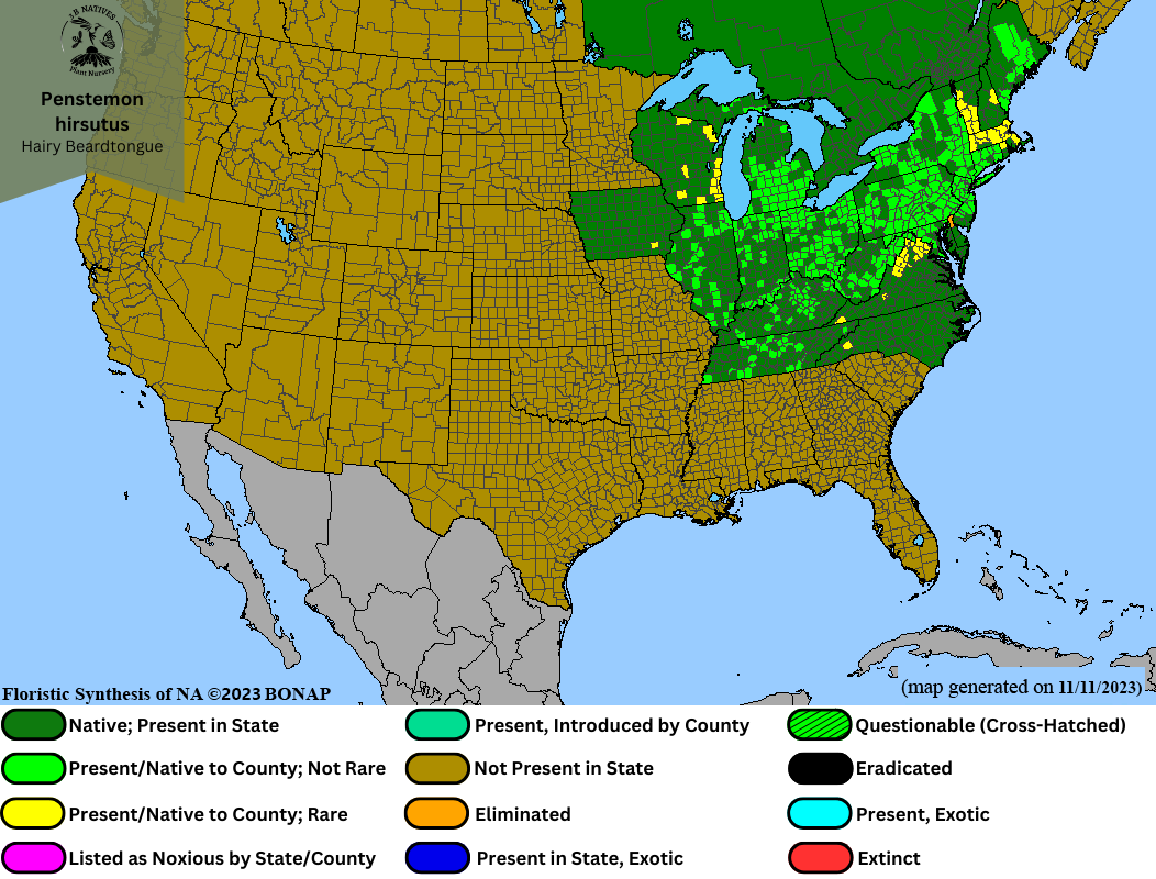 Penstemon hirsutus - Hairy Beardtongue Range Map