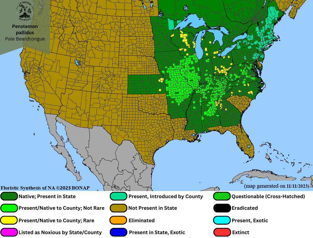 Penstemon pallidus - Pale Beardtongue Range Map