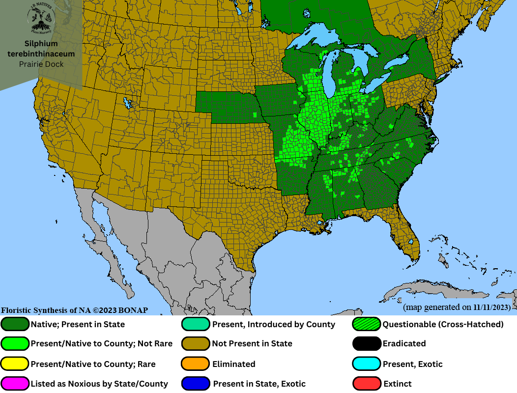 Silphium terebinthinaceum - Prairie Dock Range Map