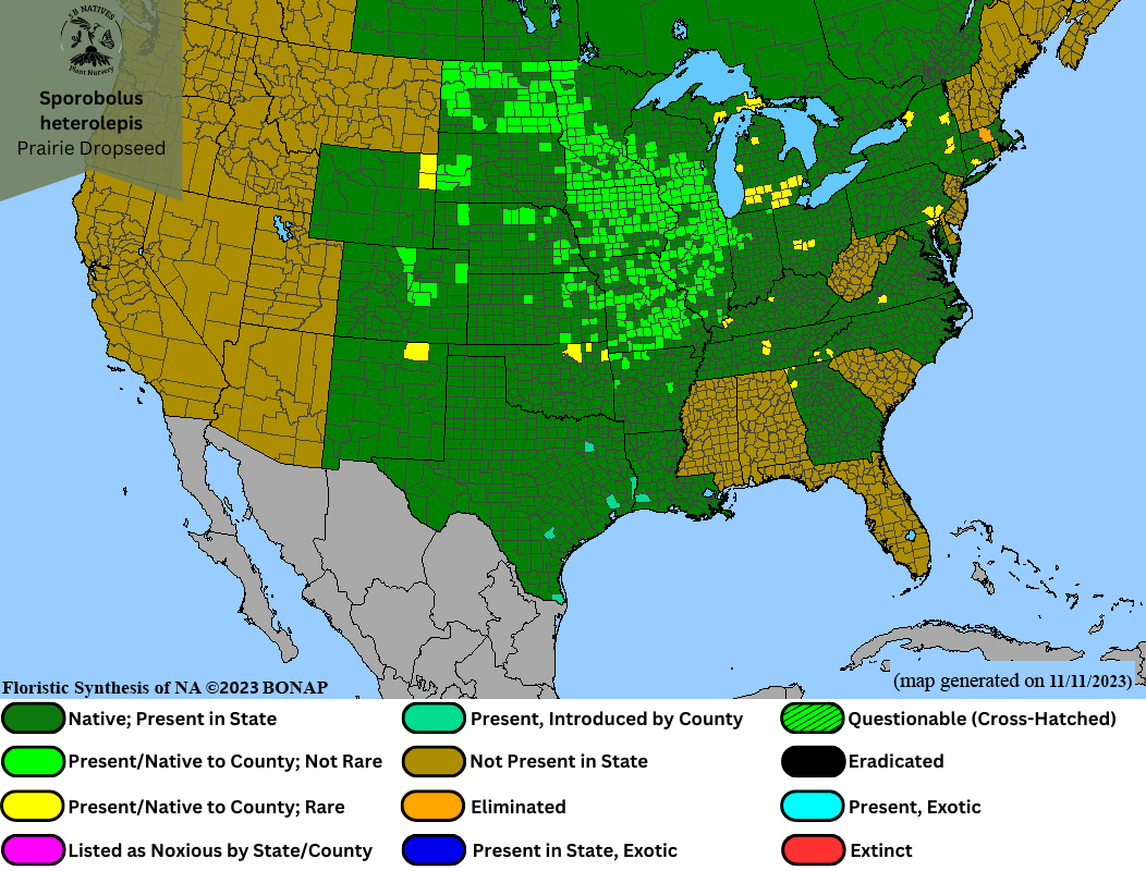 Sporobolus heterolepis - Prairie Dropseed Range Map