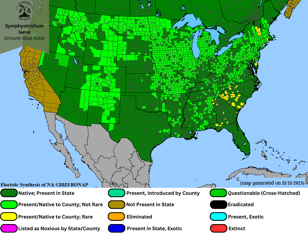 Symphyotrichum laeve - Smooth Blue Aster Range Map