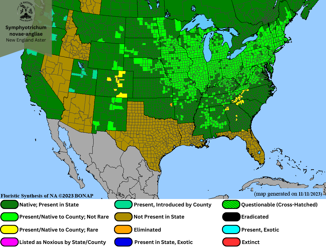 Symphyotrichum novae-angliae - New England Aster Range Map