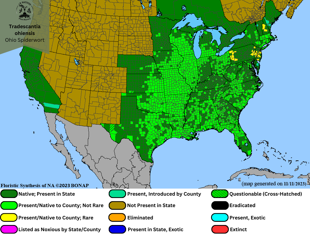 Tradescantia ohiensis - Ohio Spiderwort Range Map