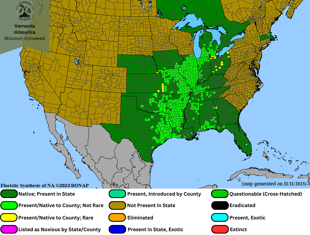 Vernonia missurica - Missouri Ironweed Range Map