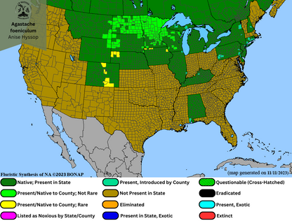 Agastache foeniculum-Anise Hyssop Range Map