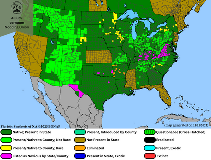 Allium cernuum-Nodding Onion Range Map