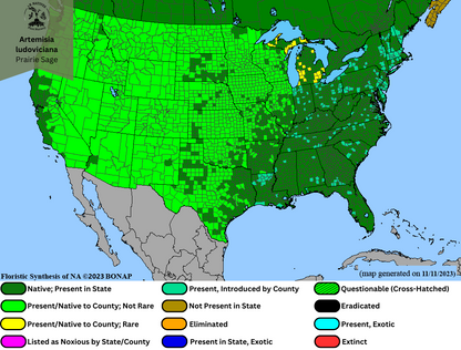 Artemisia ludoviciana-Prairie Sage Range Map