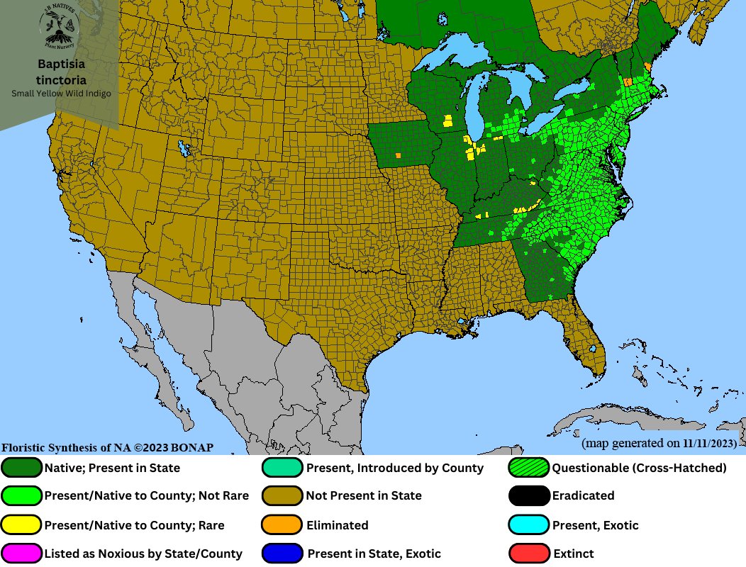 Baptisia tinctoria - Small Yellow Wild Indigo Range Map