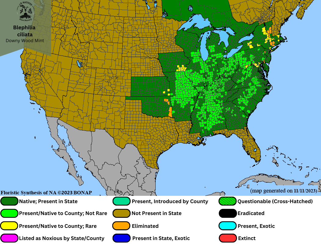 Blephilia ciliata - Downy Wood Mint Range Map