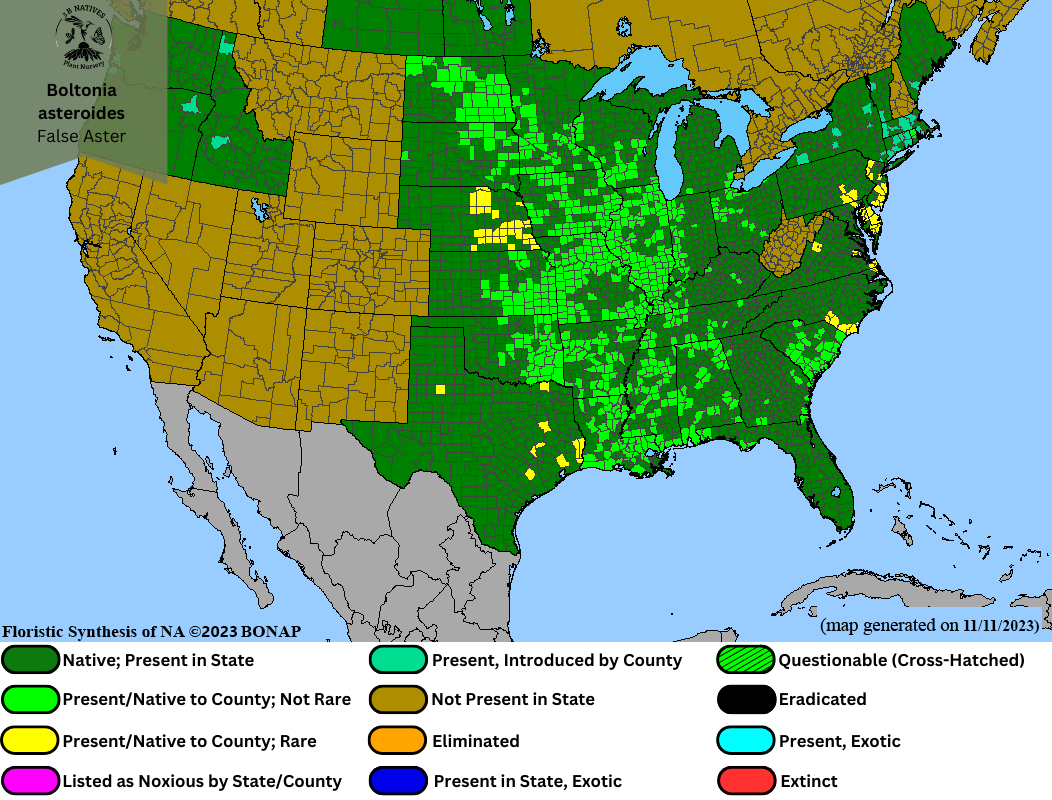 Boltonia asteroides - False Aster Range Map