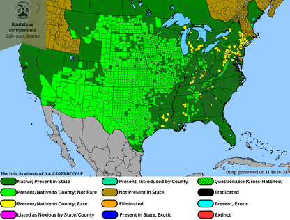 Bouteloua curtipendula - Side-oats Grama Range Map