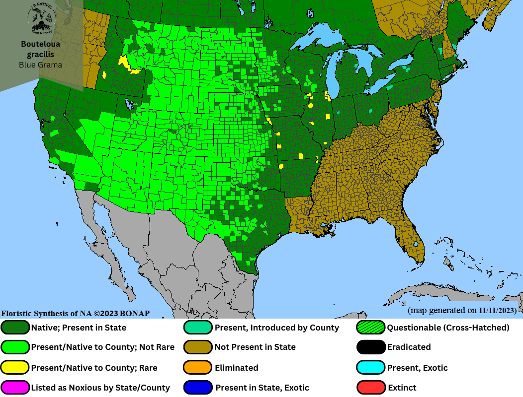 Bouteloua gracilis - Blue Grama Range Map