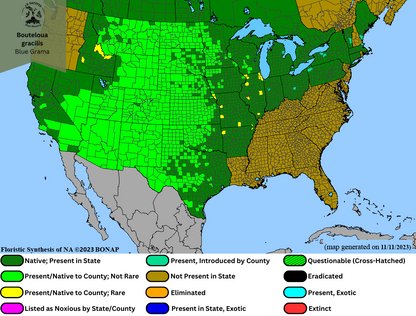 Bouteloua gracilis - Blue Grama Range Map