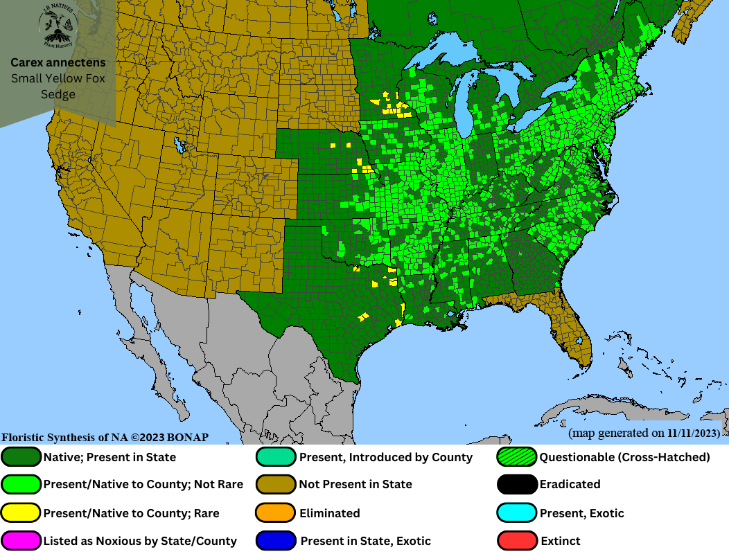 Carex annectans - Small Yellow Fox Sedge Range Map