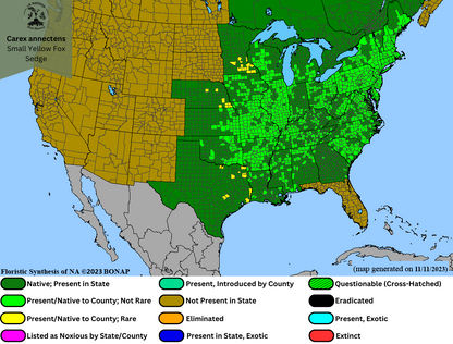 Carex annectans - Small Yellow Fox Sedge Range Map