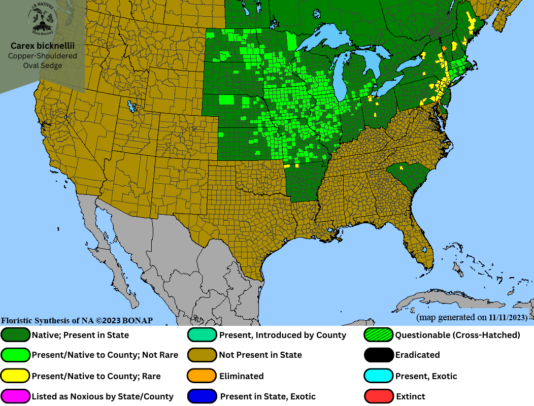 Carex bicknellii - Bicknell's Sedge Range Map