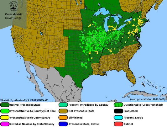 Carex davisii - Davis' Sedge Range Map