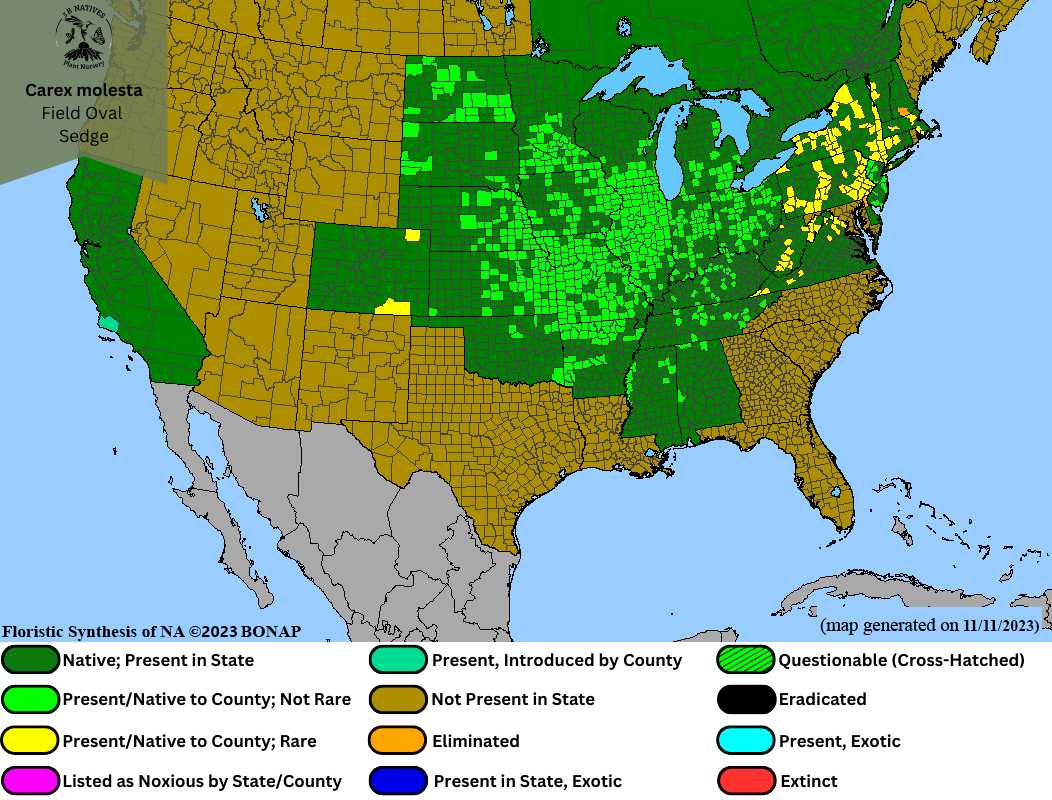 Carex molesta - Field Oval Sedge Range Map