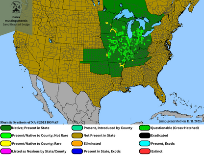 Carex muskingumensis - Sand Bracted Sedge Range Map