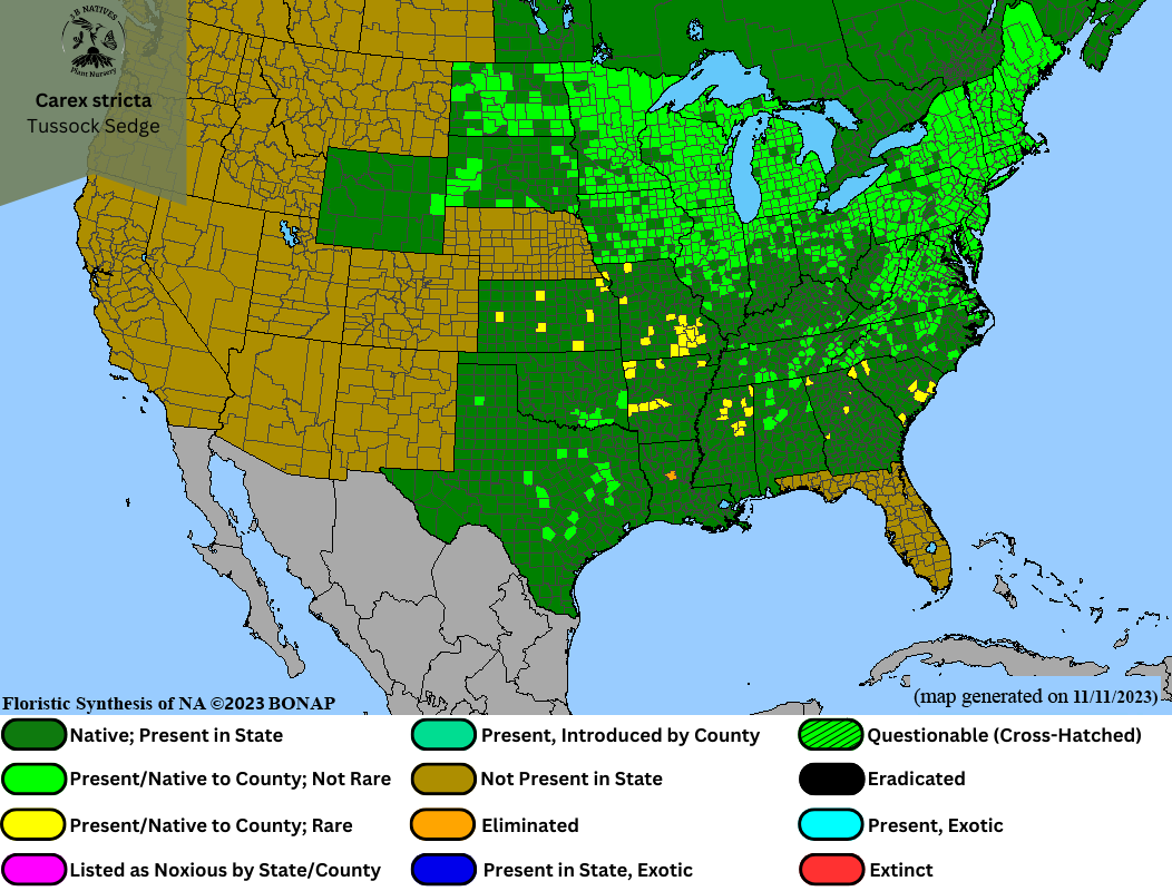 Carex stricta - Tussock Sedge Range Map