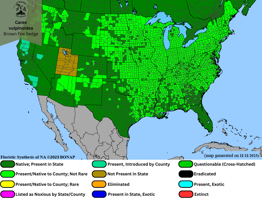 Carex vulpinoidia - Brown Fox Sedge Range Map