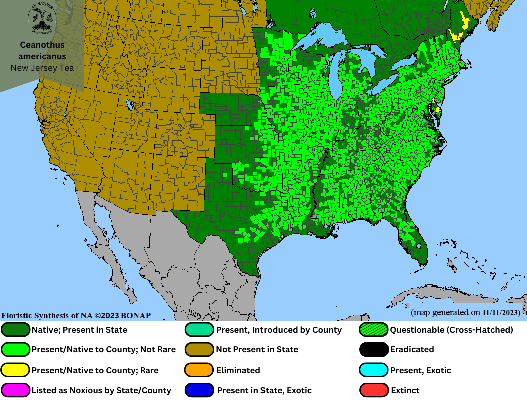 Ceanothus americanus - New Jersey Tea Range Map