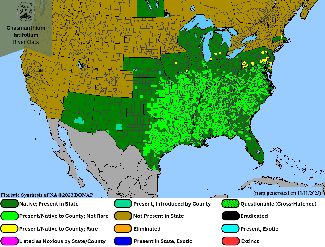 Chasmanthium latifolium - River Oats Range Map