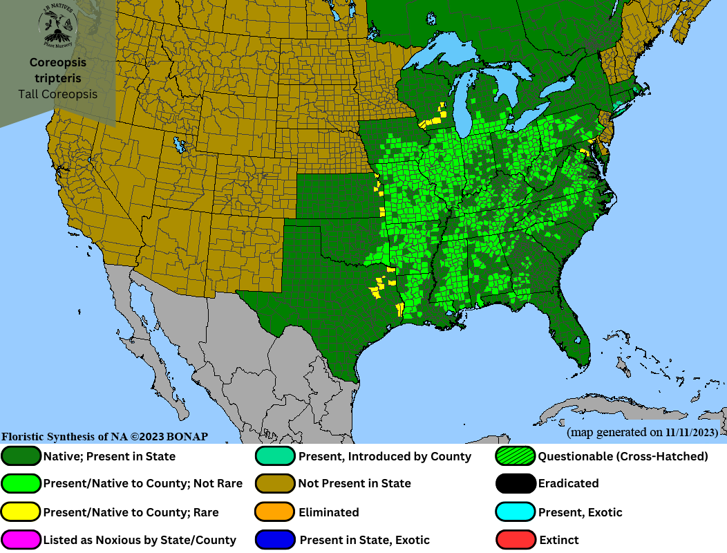 Coreopsis tripteris - Tall Coreopsis Range Map