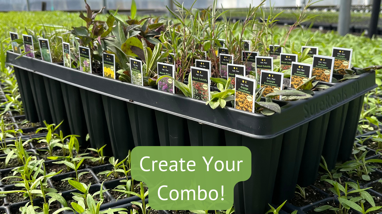Create Your Combo Garden Collection Pack from 3 B Natives Plant Nursery