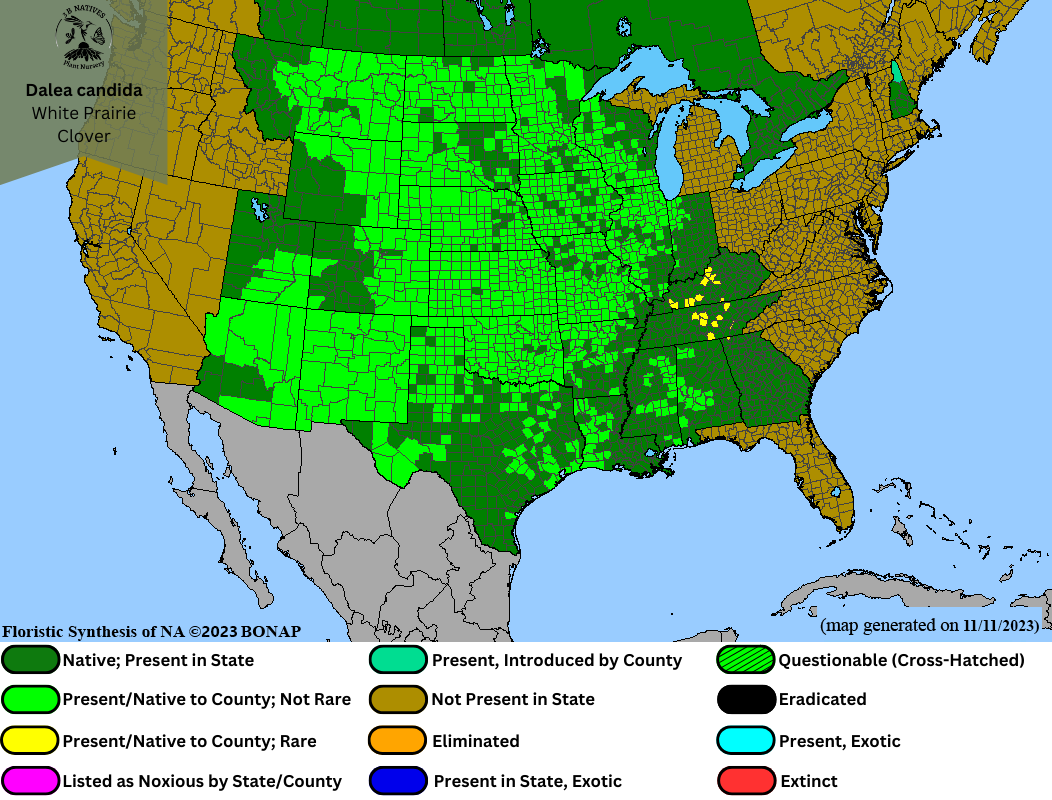Dalea candida - White Prairie Clover Range Map