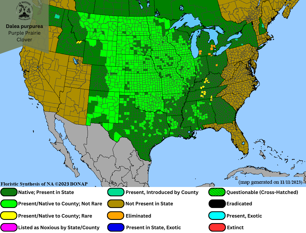 Dalea purpurea - Purple Prairie Clover Range Map