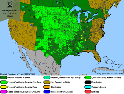 Dalea purpurea - Purple Prairie Clover Range Map