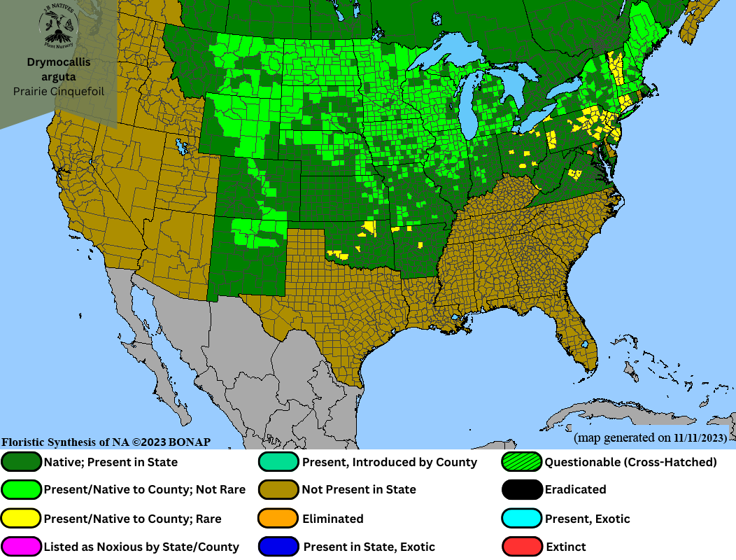 Drymocallis arguta - Prairie Cinquefoil Range Map