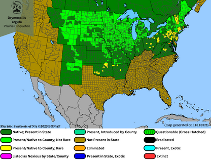 Drymocallis arguta - Prairie Cinquefoil Range Map