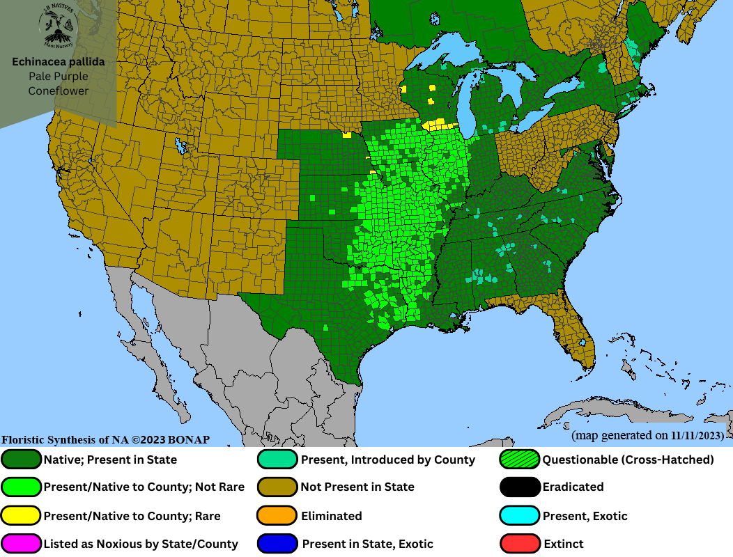 Echinacea pallida - Pale Purple Coneflower Range Map