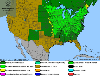 Elymus hystrix - Bottlebrush Grass Range Map